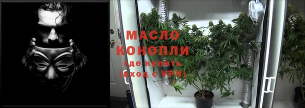 PSILOCYBIN Семёнов