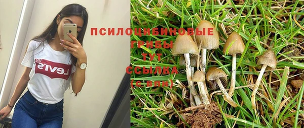 ПСИЛОЦИБИНОВЫЕ ГРИБЫ Володарск