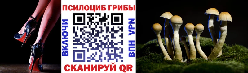 Галлюциногенные грибы прущие грибы  где можно купить   Славянск-на-Кубани 