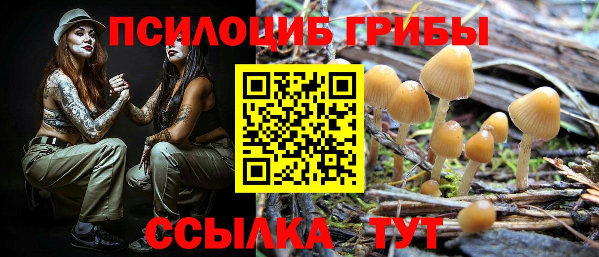 Галлюциногенные грибы Psilocybe  Вход с VPN  купить закладку  Славянск-на-Кубани 